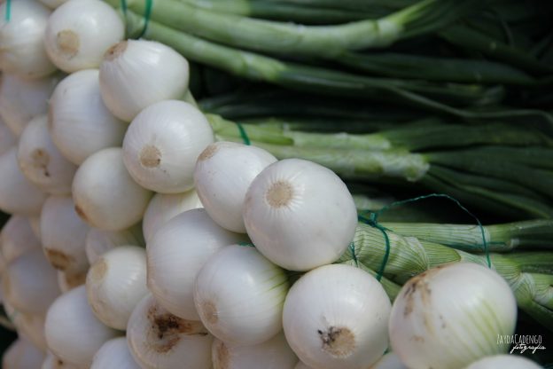 R Ussir La Culture Des Oignons Dans Votre Jardin