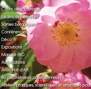 Sérignan du Comtat