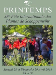 Fête du printemps de Schoppenwihr