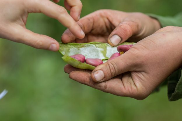 loi-agriculture-alimentation