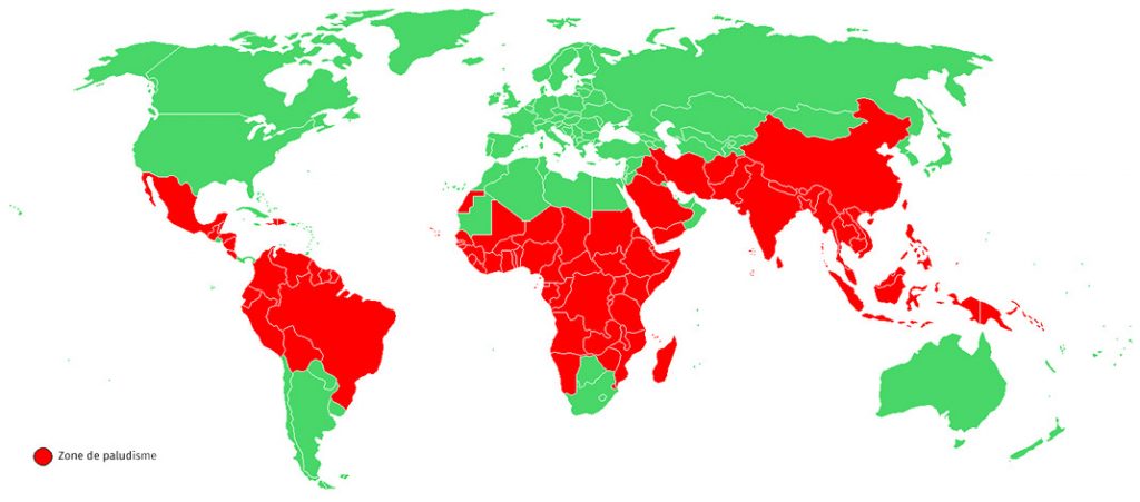 Les zones les plus impactées par le paludisme dans le monde