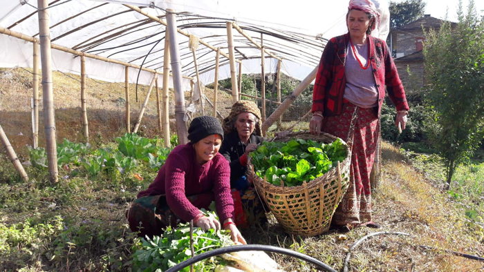 Le village Mallaj, Népal, soutenu en février 2020