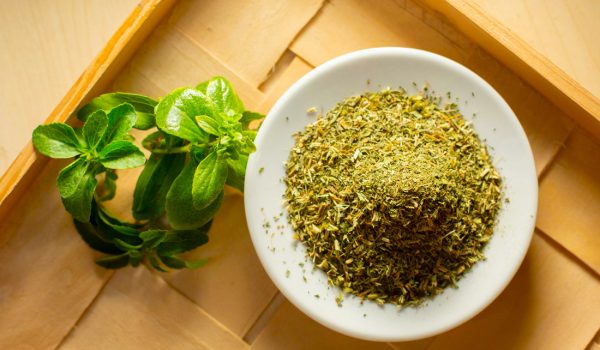 Composition,-Feuilles,-Plantes-médicinales,-Séchage,-Stévia,-Stévia-Rebaudiana,-Tisane Les feuilles de Stévia se consomment aussi bien fraîches que sèches