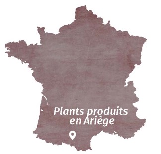 Plants produits en Ariège