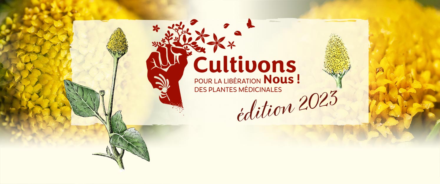Entete-CultivonsNous-2023-Lemon-Drop