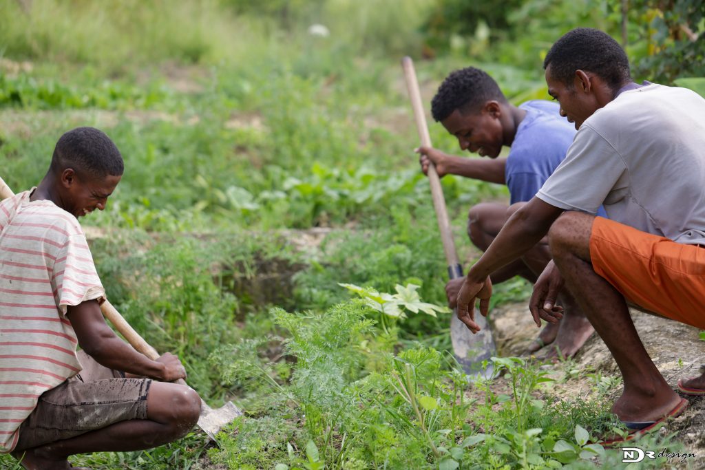 Trois membres de la communauté travaillant aux côtés de l'ONG La Forêt Retrouvée, s'activent sur une parcelle de culture.
