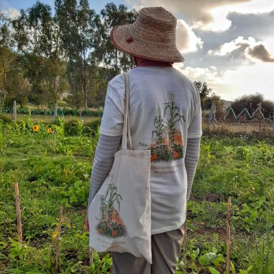 Photo d'un membre de l'Association Graines de Bonheur de dos. Elle porte un t-shirt et un Tote Bag offerts par Semences Sans Frontières. Tout deux illustrent la Milpa; fameuse méthode de culture des 3 plantes compagnes : maïs, haricots et courges.