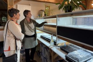 Photo de Anne-Laurence et de Leentje (responsable du Service Solidarité chez Kokopelli) entrain de visiter l'ensemble des services de Kokopelli. Ici, elles sont au service germination et observent les incubateurs dans lesquels sont effectués tous les tests de germination.