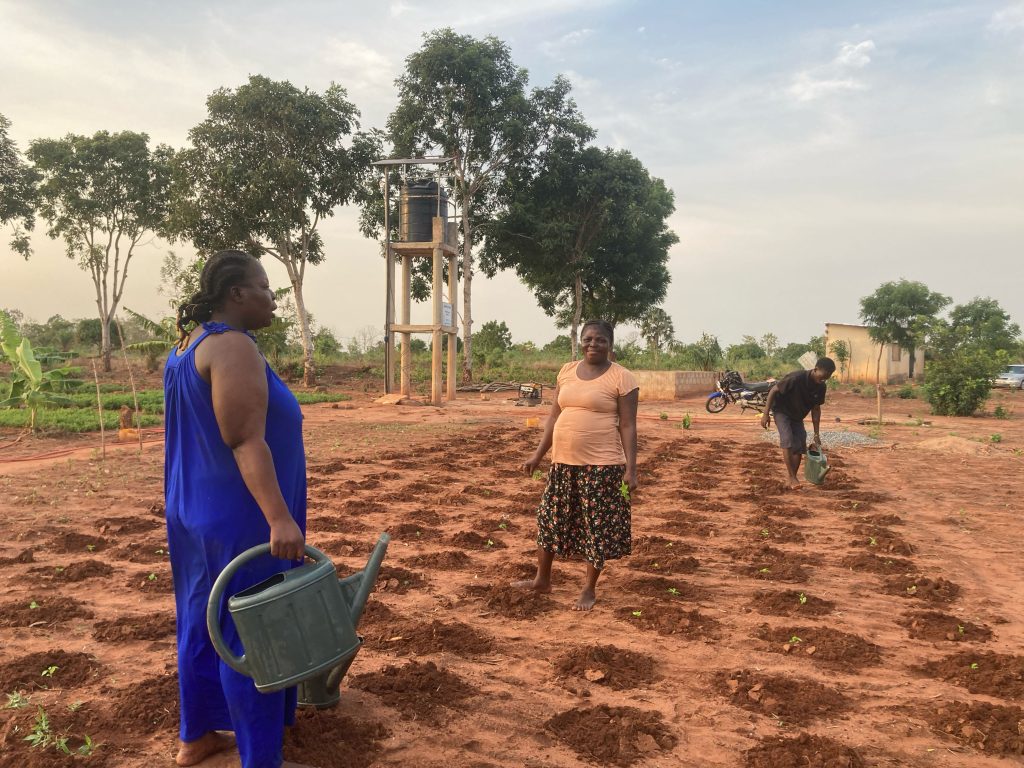 Photo des bénévoles de l'Association et des employés de l'orphelinat entrain d'arroser leurs jeunes cultures. On aperçoit au loin le système de forage qui leur permet de bénéficier d'eau pour leurs cultures.