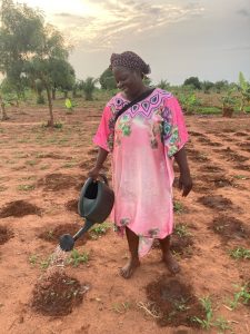 Photo de l'une des employés de l'orphelinat entrain d'arroser de toutes jeunes cultures.
