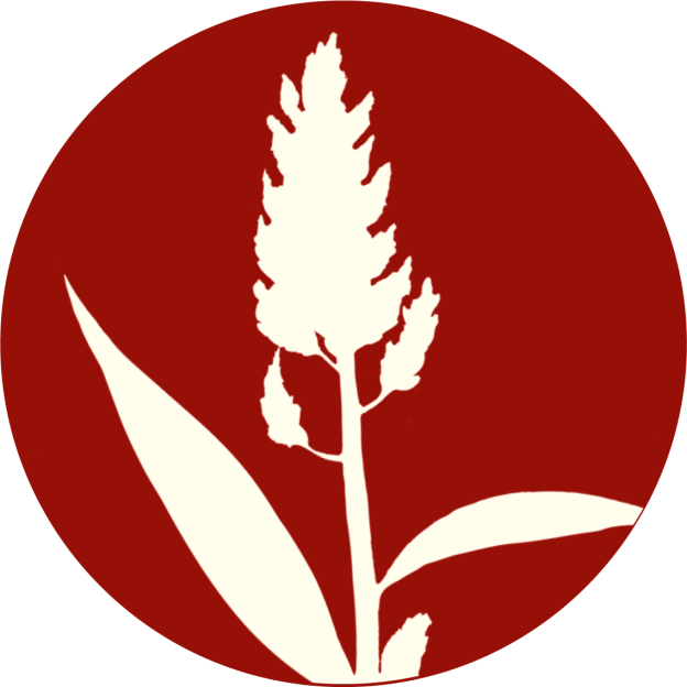 Picto campagne Cultivons-nous 2026 celosia