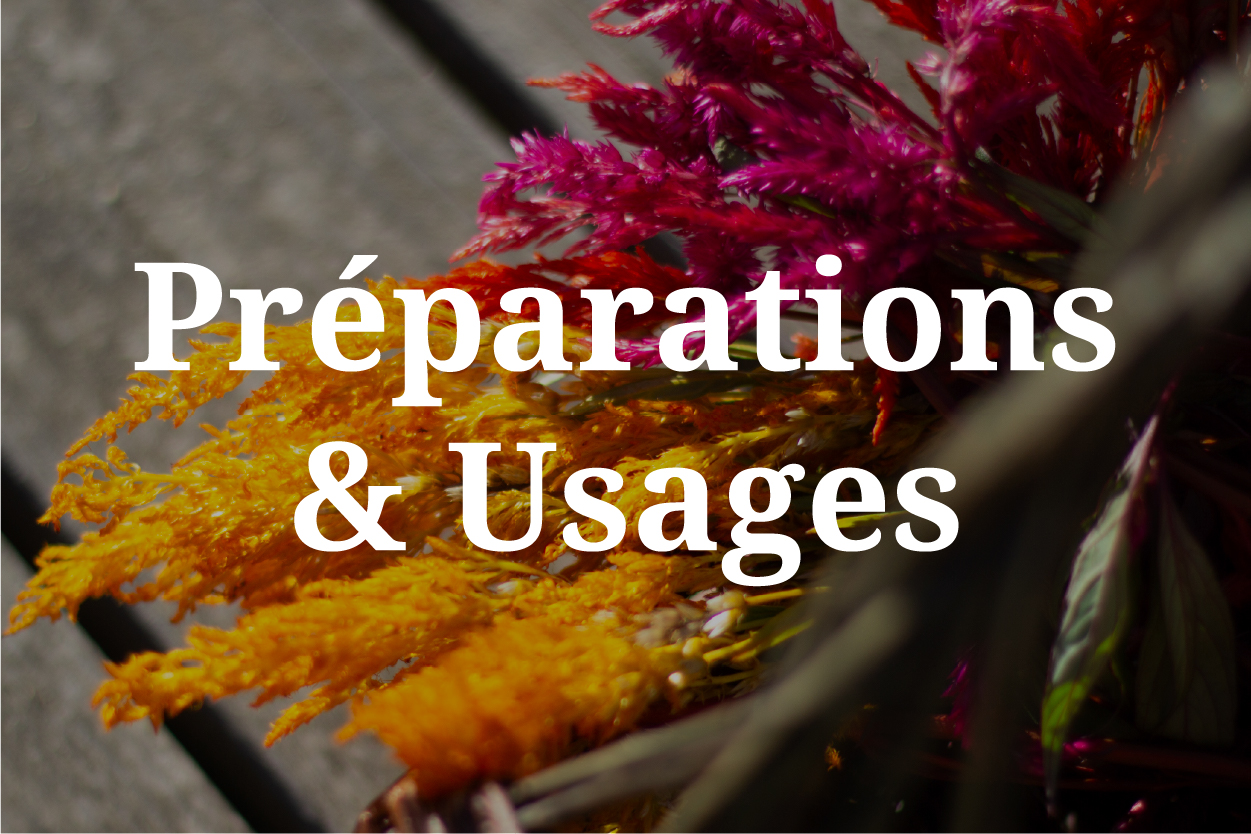 Préparation & Usages