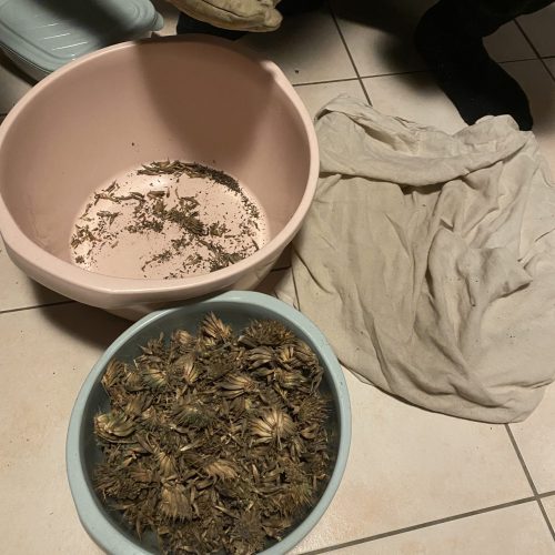 Écartement des déchets végétaux