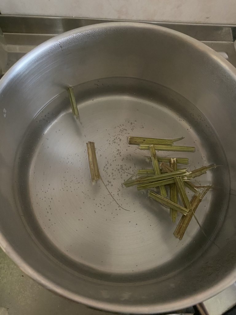 Infusion à partir des tiges de léonotis