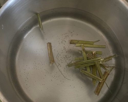 Infusion à partir des tiges de léonotis