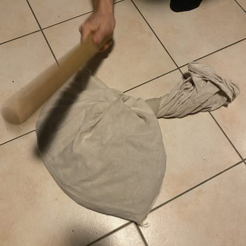 Battage des inflorescences sèches à l’aide d’un bâton afin d’extraire les graines présentes au fond de chaque fleur