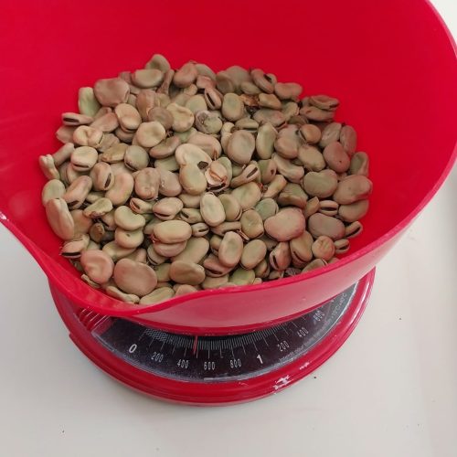 Le poids final de la récolte s'élève à 480 grammes !