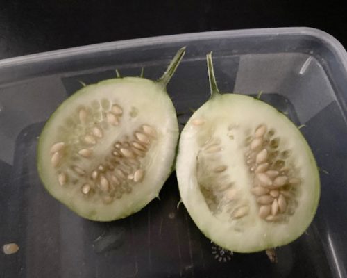 La cavité centrale du Kiwano, contenant les précieuses graines