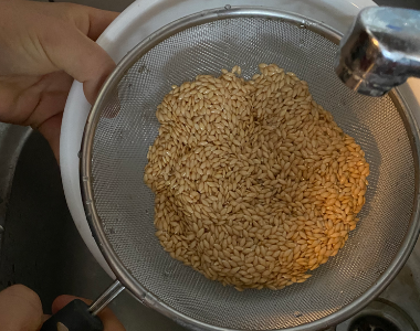 Nettoyage des semences