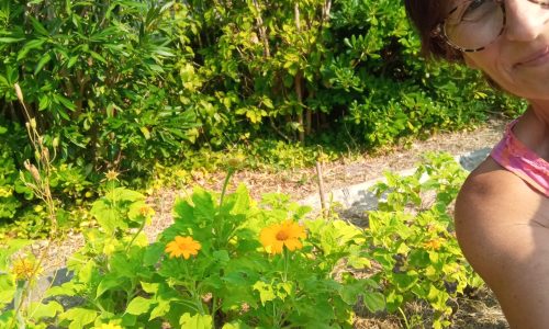 Nathalie a opté pour des repiquages progressifs en fonction de la météo