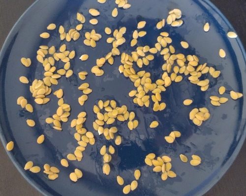 Une belle assiette de graines multipliées par Valérie