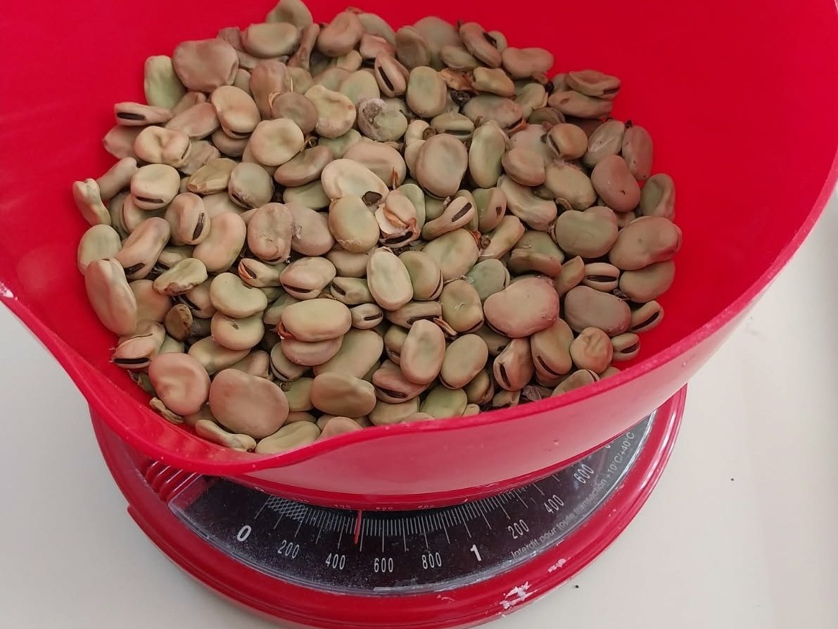 Le poids final de la récolte s'élève à 480 grammes !